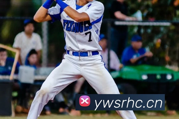 果动体育官网APP 封面图